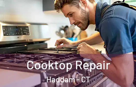  Cooktop Repair Haddam - CT