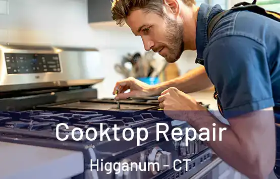  Cooktop Repair Higganum - CT