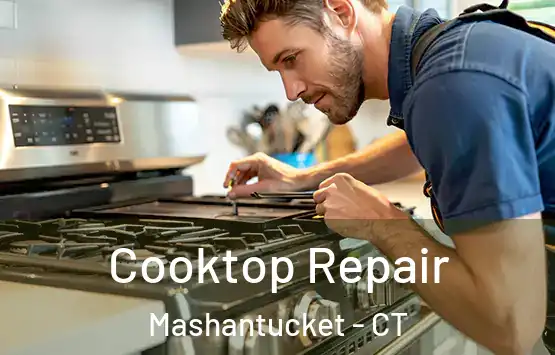  Cooktop Repair Mashantucket - CT