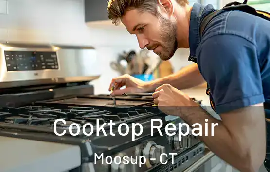  Cooktop Repair Moosup - CT