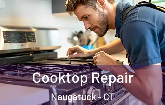  Cooktop Repair Naugatuck - CT