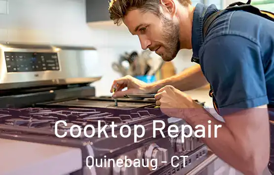  Cooktop Repair Quinebaug - CT