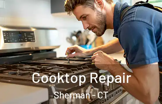  Cooktop Repair Sherman - CT