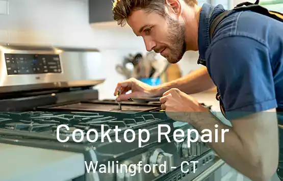  Cooktop Repair Wallingford - CT