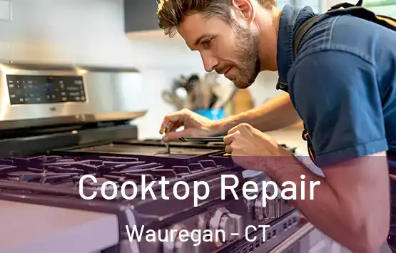  Cooktop Repair Wauregan - CT