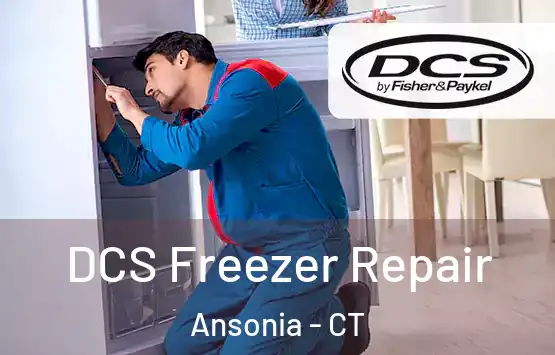  DCS Freezer Repair Ansonia - CT