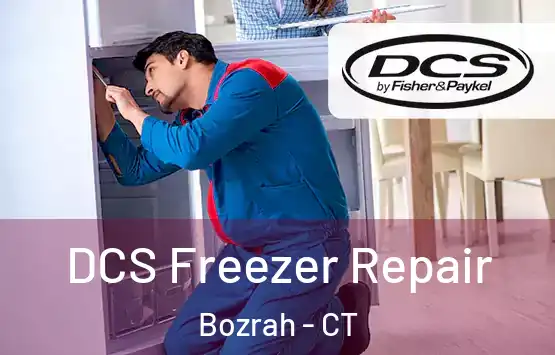  DCS Freezer Repair Bozrah - CT
