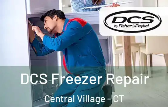  DCS Freezer Repair Central Village - CT