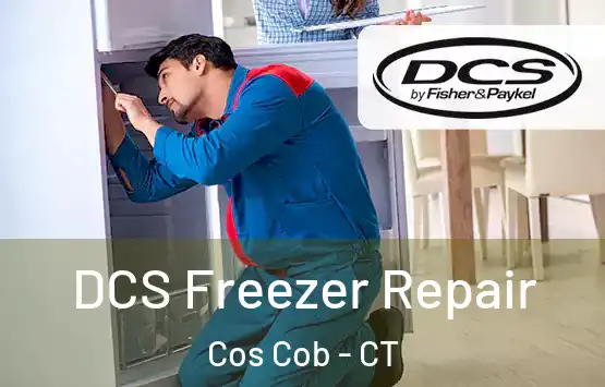  DCS Freezer Repair Cos Cob - CT
