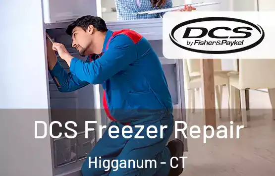  DCS Freezer Repair Higganum - CT