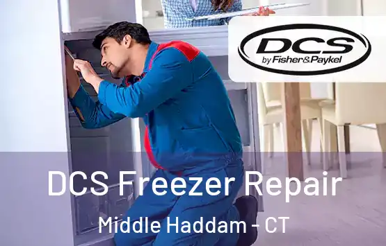  DCS Freezer Repair Middle Haddam - CT