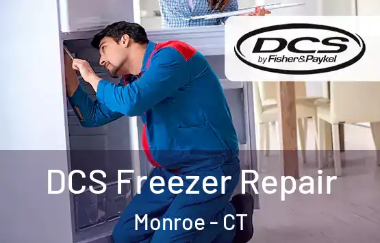  DCS Freezer Repair Monroe - CT