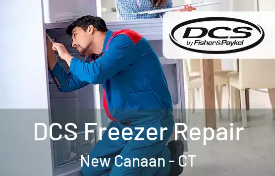  DCS Freezer Repair New Canaan - CT