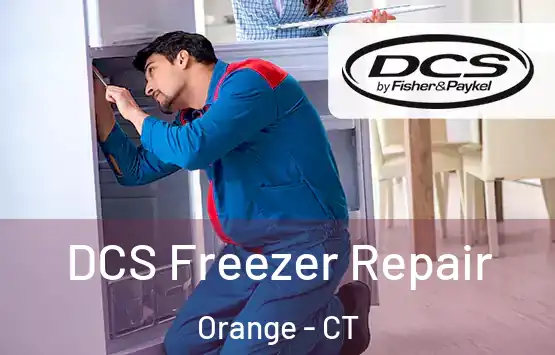  DCS Freezer Repair Orange - CT