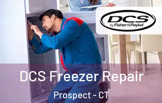  DCS Freezer Repair Prospect - CT