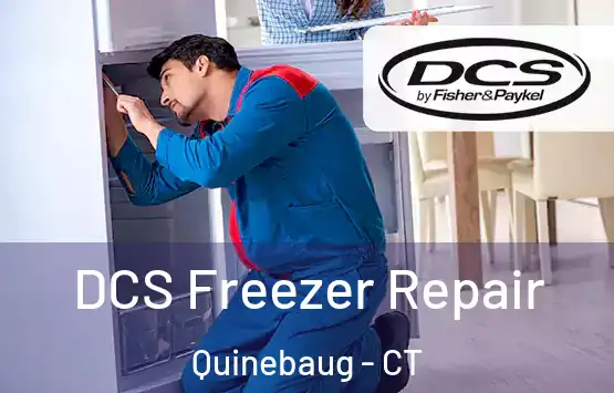 DCS Freezer Repair Quinebaug - CT