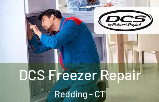 DCS Freezer Repair Redding - CT