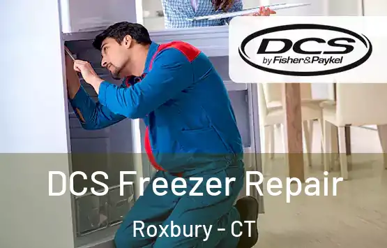  DCS Freezer Repair Roxbury - CT