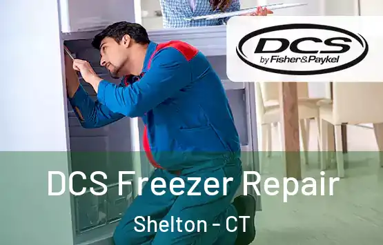  DCS Freezer Repair Shelton - CT