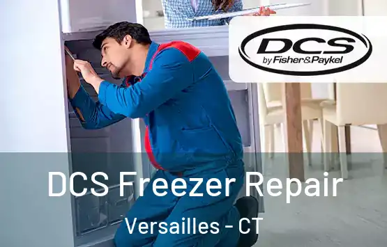  DCS Freezer Repair Versailles - CT