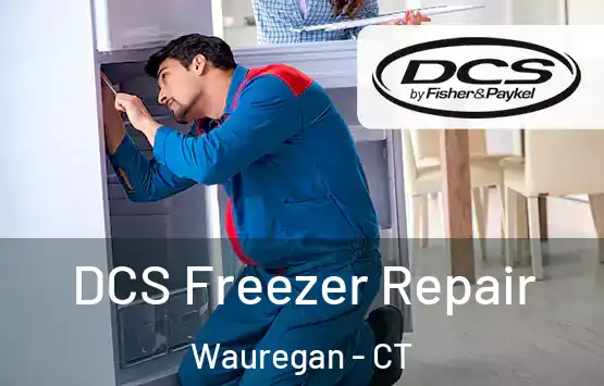  DCS Freezer Repair Wauregan - CT