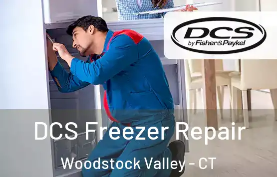  DCS Freezer Repair Woodstock Valley - CT