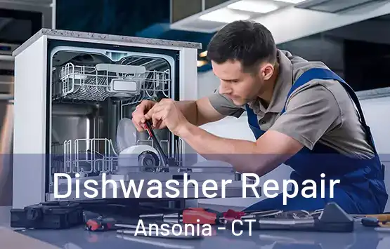  Dishwasher Repair Ansonia - CT