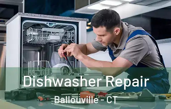  Dishwasher Repair Ballouville - CT