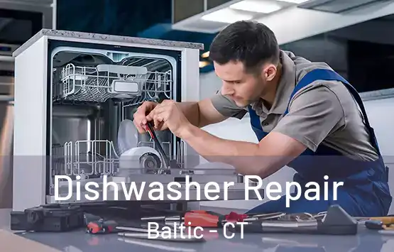  Dishwasher Repair Baltic - CT
