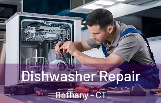  Dishwasher Repair Bethany - CT