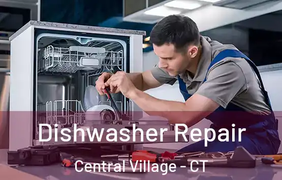  Dishwasher Repair Central Village - CT