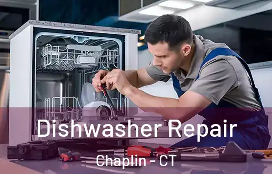  Dishwasher Repair Chaplin - CT
