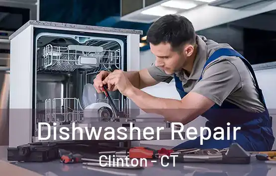  Dishwasher Repair Clinton - CT