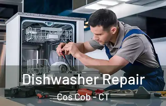  Dishwasher Repair Cos Cob - CT