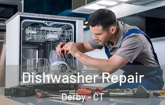  Dishwasher Repair Derby - CT