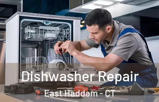  Dishwasher Repair East Haddam - CT
