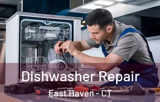  Dishwasher Repair East Haven - CT