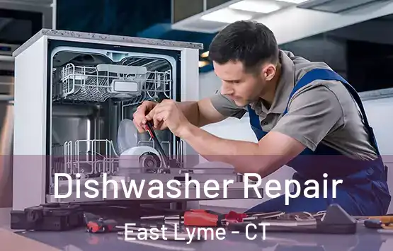  Dishwasher Repair East Lyme - CT