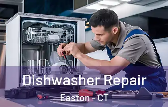  Dishwasher Repair Easton - CT