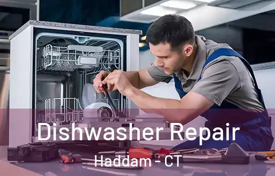 Dishwasher Repair Haddam - CT