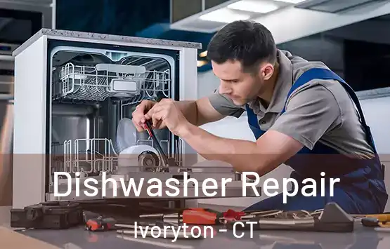 Dishwasher Repair Ivoryton - CT