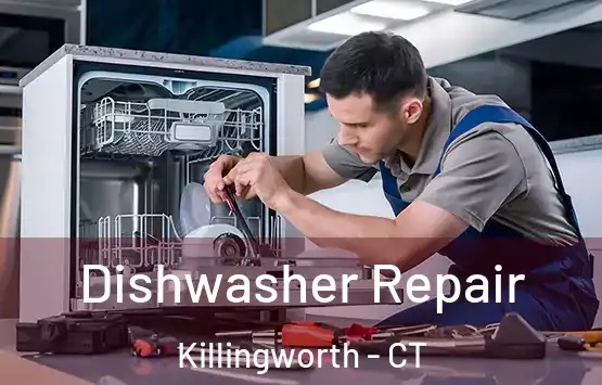  Dishwasher Repair Killingworth - CT