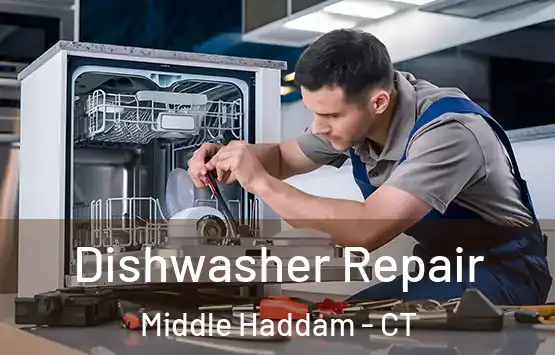  Dishwasher Repair Middle Haddam - CT