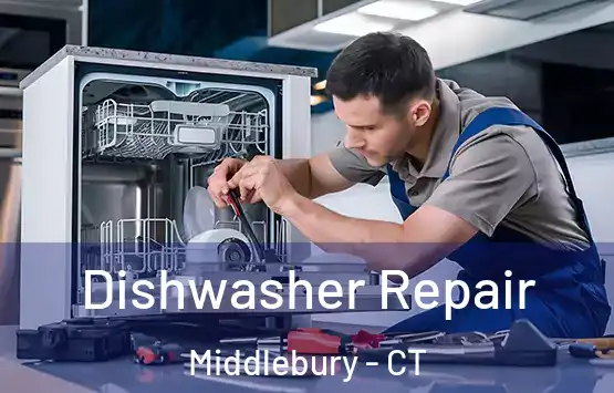  Dishwasher Repair Middlebury - CT