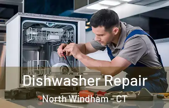  Dishwasher Repair North Windham - CT
