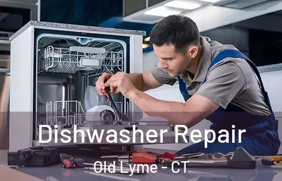  Dishwasher Repair Old Lyme - CT