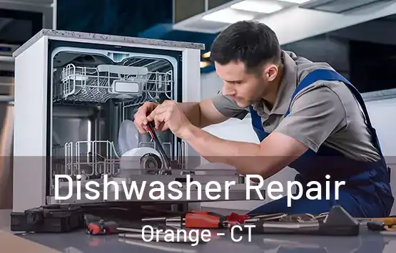  Dishwasher Repair Orange - CT