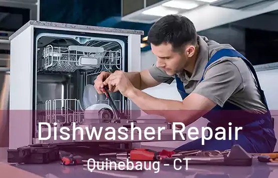  Dishwasher Repair Quinebaug - CT