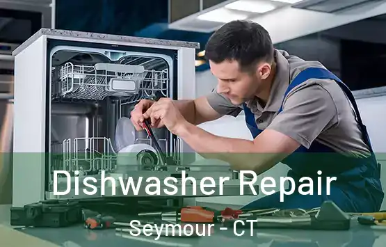  Dishwasher Repair Seymour - CT