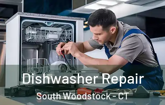  Dishwasher Repair South Woodstock - CT